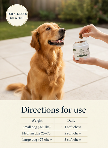 Wellhaven Collective Skin & Coat Soft Chews